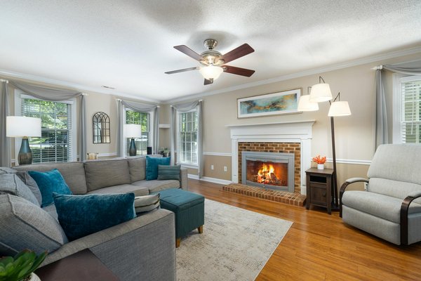 Les meilleures stratégies pour se débarrasser des vrillettes à paris