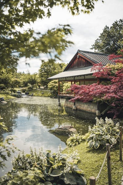 Découvrez l'art du jardin japonais et ses bienfaits zen